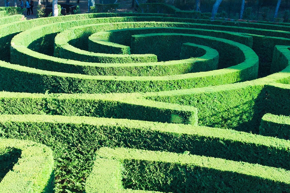 Labyrinth Plant Surface