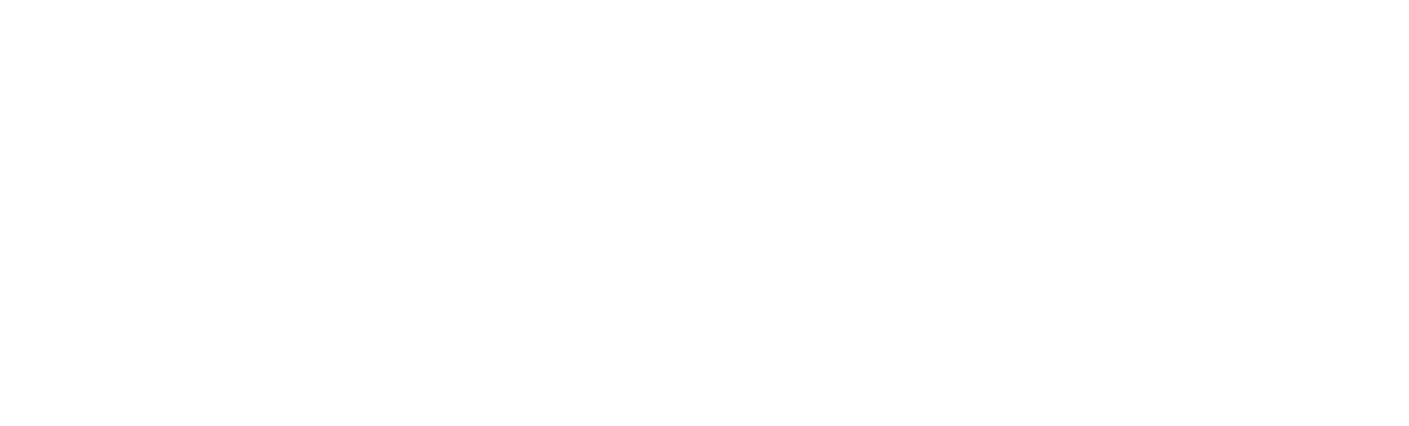 Shneider logo
